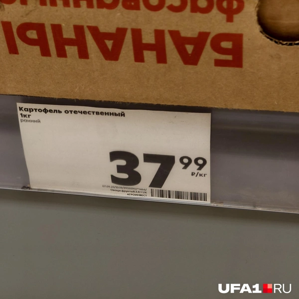 Источник: Булат Салихов / UFA1.RU