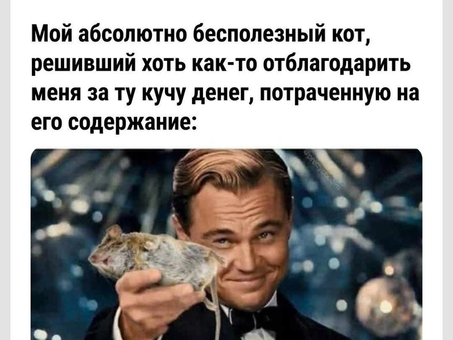 Ну ведь хозяин-то сам не поймает! | Источник: Городские медиа