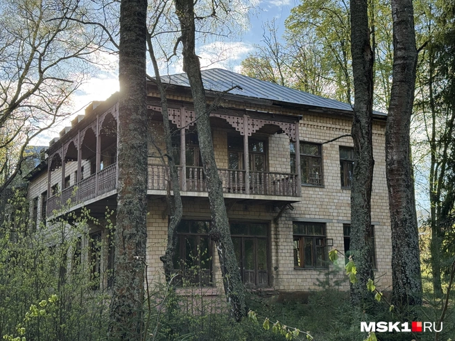 Источник: Алина Мельникова / MSK1.RU
