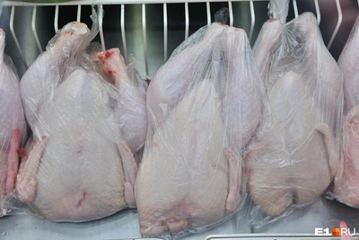 СКР Бастрыкин снова вмешался в дело о долгах по зарплатам