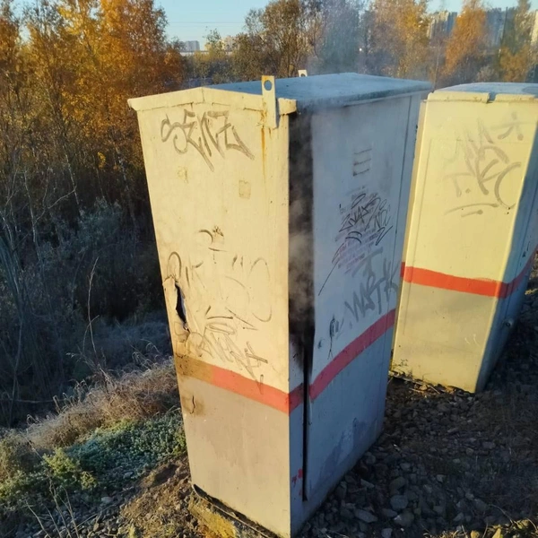 Источник: Управление на транспорте МВД России по СЗФО