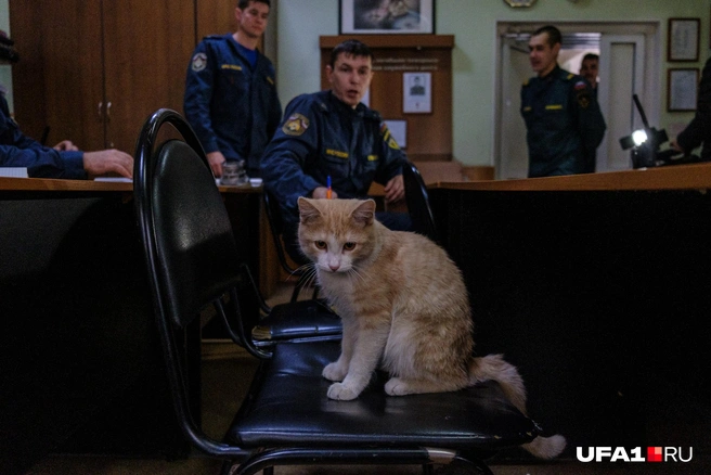 Если есть претензии, то в письменной форме, пожалуйста | Источник: Булат Салихов / UFA1.RU