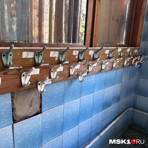 Источник: Алина Мельникова / MSK1.RU