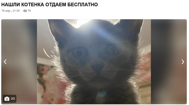 Источник: doska.ykt.ru