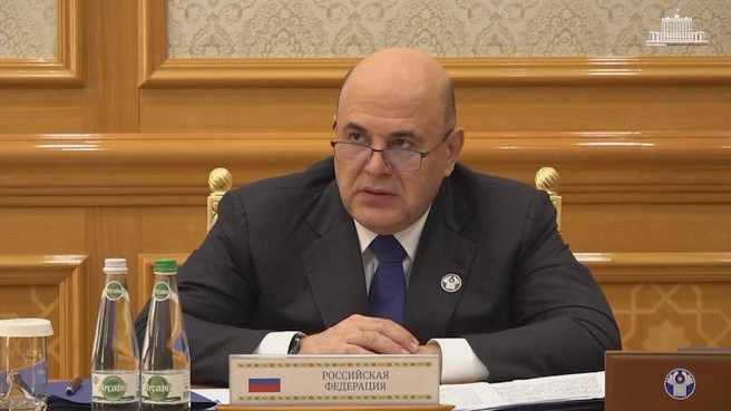 Мишустин пригласил глав правительств стран СНГ в Петербург в июне | Источник: Правительство России
