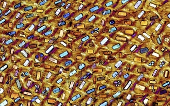 Проверка зрения для дальнозорких: что это сняли так близко?