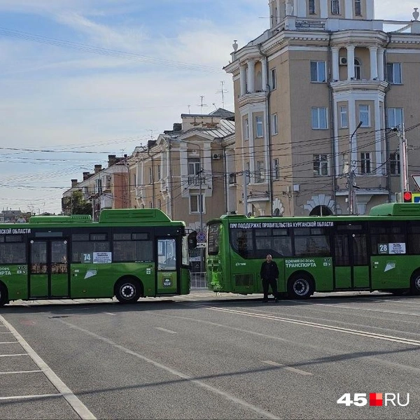 Источник: Дарья Никитченко / 45.RU