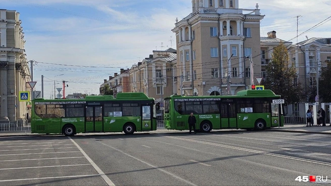 Автобусы выставили с утра | Источник: Дарья Никитченко / 45.RU