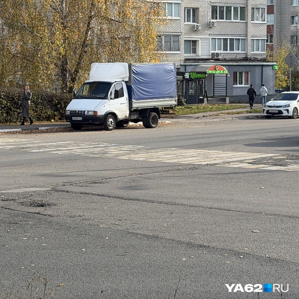 Особо не погоняешь | Источник: Нелли Козловская / YA62.RU