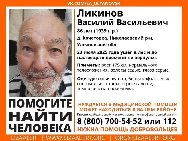 Пенсионер ушел в лес и не вернулся | Источник: vk.com/la_ulyanovsk