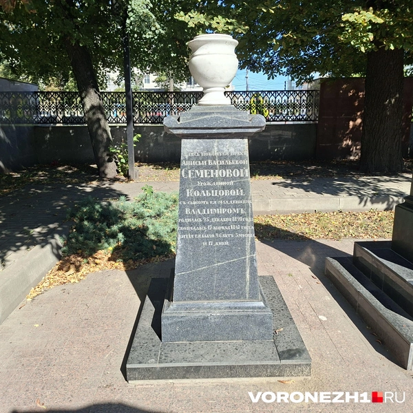 Источник: Алёна Воропаева / Voronezh1.ru