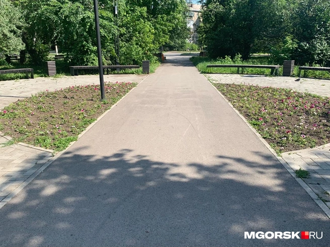Сказать, что клумбы в сквере не цветут, мы не можем | Источник: Полина Котышева / MGORSK.RU