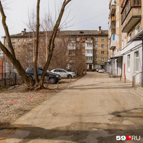 В последние годы во дворе чисто | Источник: Тимофей Калмаков / 59.RU