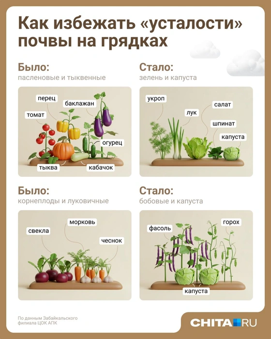 Источник: Евгения Бикунова / Городские медиа