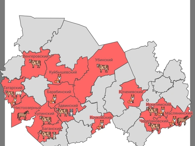 Наиболее часто заражались лисицы и крупный рогатый скот | Источник: Иллюстрация