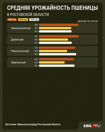 Источник: Мария Романова / 161.RU