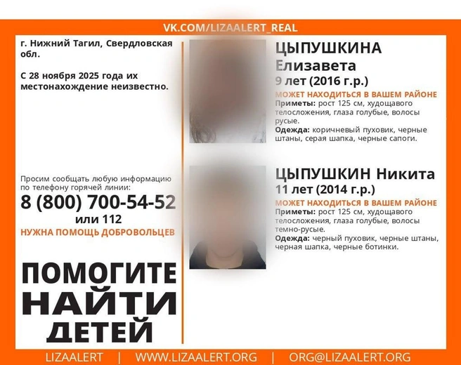 Источник: Поисковый отряд «ЛизаАлерт» Свердловской области