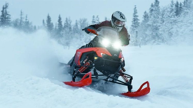 Практичные Ski-Doo универсальны для зимних задач | Источник: ru.freepik.com