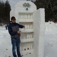 Аватарка RIS