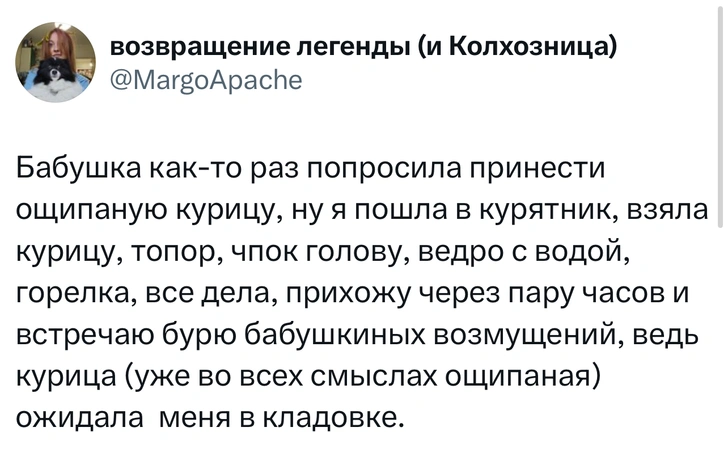 Источник: X (Twitter)