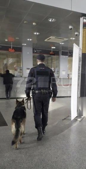 На вокзале работают кинологи  | Источник: читатель 72.RU 