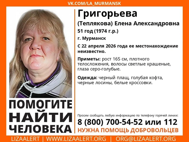 Источник: поисковый отряд «ЛизаАлерт» Мурманской области / Vk.com