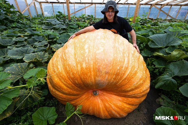 Источник: Артем Устюжанин / MSK1.RU