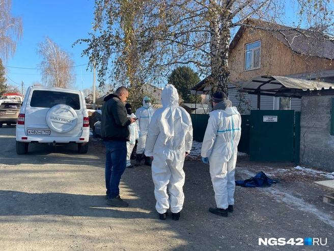 Источник: Лера Городецкая / NGS42.RU