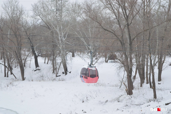 Источник: Анастасия Баринова / 56.RU