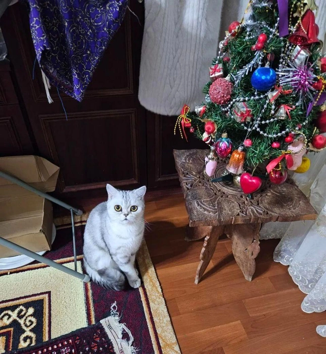 Главный мой подарочек&nbsp;— это ты! | Источник: читатель 63.RU 