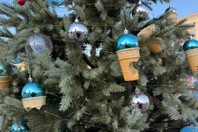 В Уссурийске вандалы обгрызли украшения на новогодней елке