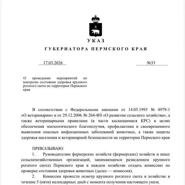 В соцсетях также опубликовали скан указа губернатора Прикамья о маркировке домашнего скота | Источник: ЧП Пермь / Telegram