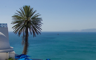 Жемчужина Туниса: зачем ехать в бело-голубой город Сиди-бу-Саид