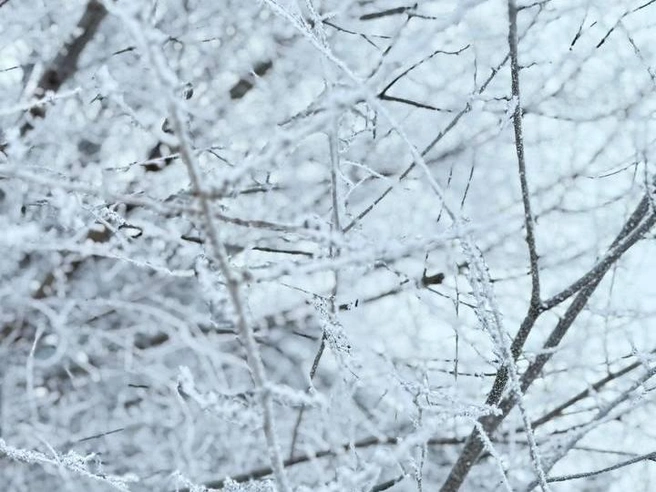 Природа демонстрирует своё мастерство художника. | Источник: читатели V1.RU