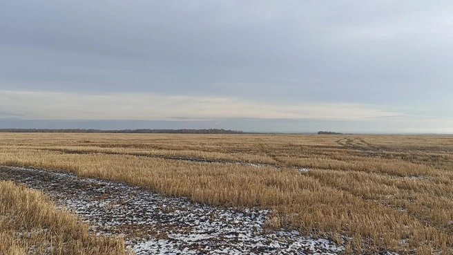 Дорога ведет к новым географическим открытиям | Источник: Анна Сарапульцева / 45.RU