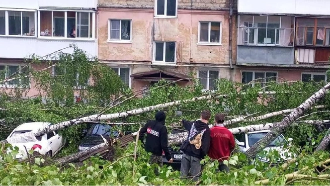 Деревья первыми сдаются под натиском стихии. Но именно они помогают установить мощь вихрей и траекторию их движения | Источник: читатель E1.RU