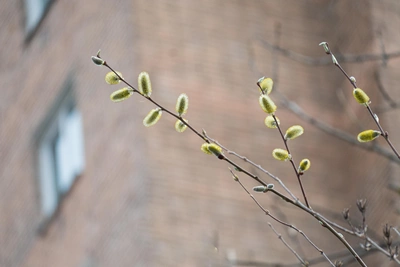 Тепло в Кузбассе наступит к выходным
