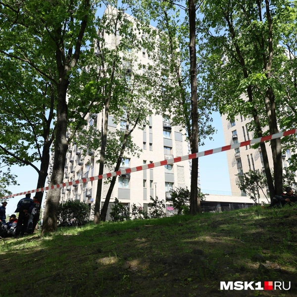Источник: MSK1.RU