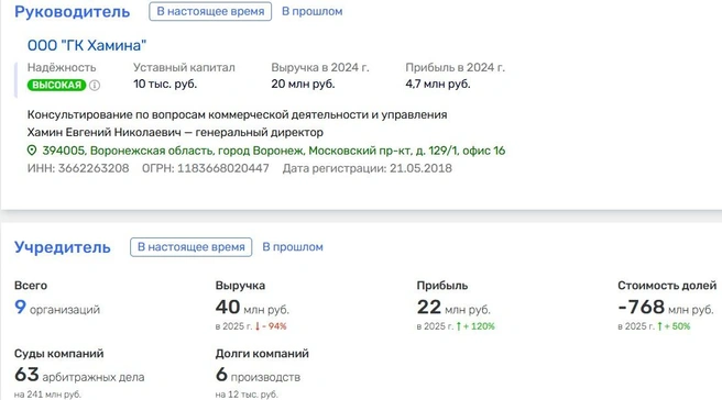 Финансовые показатели компаний Евгения Хамина неоднозначны | Источник: Rusprofile.ru
