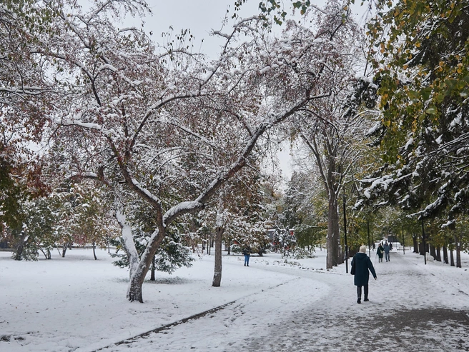 Первые осадки в виде снега начались в пятницу.