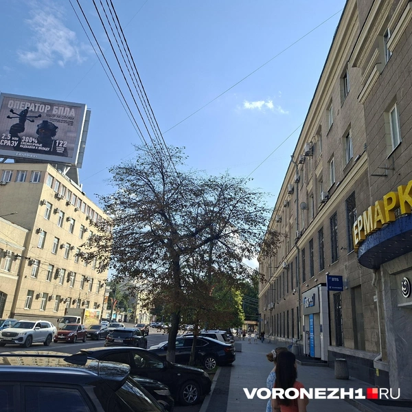 Источник: читательница Voronezh1.ru