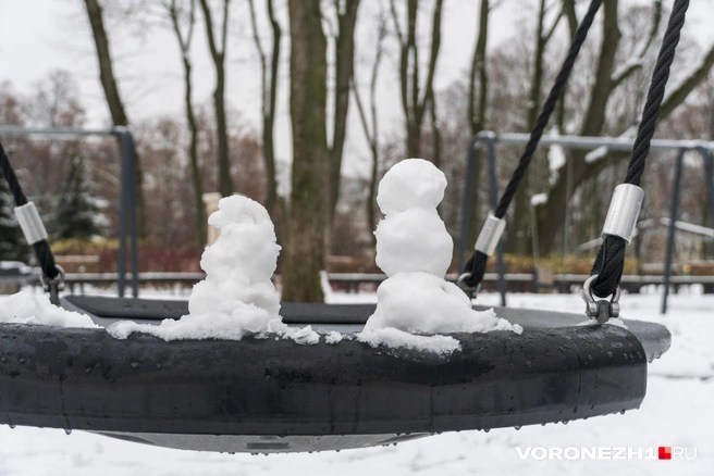 Источник: Дмитрий Волгин / Voronezh1.ru