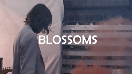 Blossoms выступят в Москве