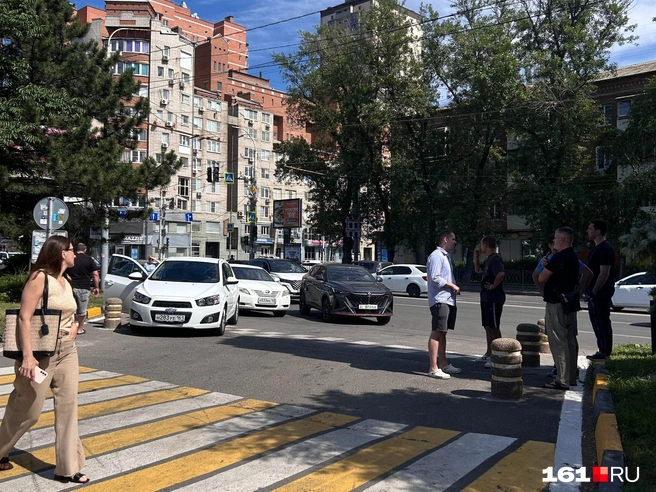 Друзья по несчастью прячутся в тени | Источник: Лиана Киракосян / 161.RU