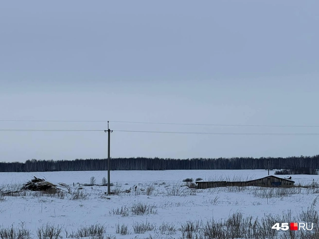 Пилораму занесло снегом&nbsp;— сейчас к ней не проехать. Житель Забродино сказал, что лесопилку опечатали силовики. В деревянном ангаре жили рабочие | Источник: Анастасия Малышкина / 45.RU 