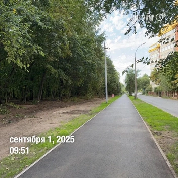 Сейчас гулять вдоль леса с бодрящим напитком не получится  | Источник: «МУП „Зеленстрой“ / vk.com