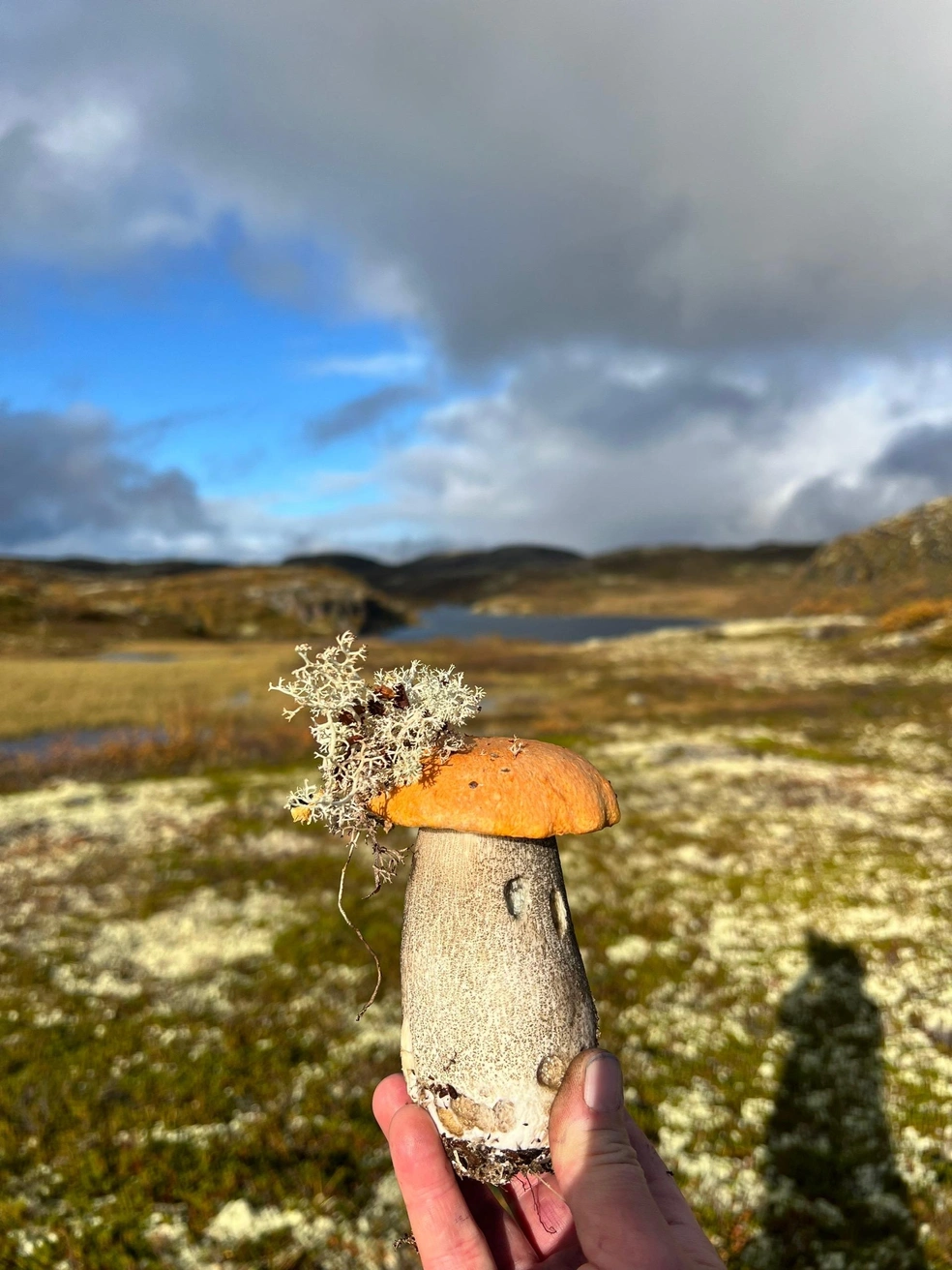 Источник: Татьяна Лучко