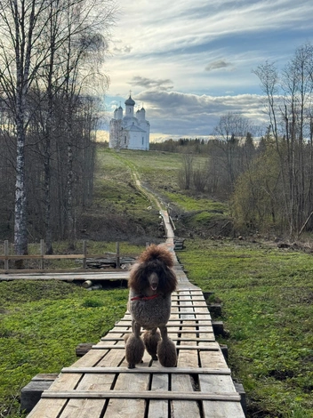 Источник: Глеб Васильев