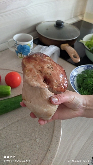 Источник: «Дары лесов Урала. Грибы Екатеринбурга и области» / Vk.com