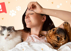 Это опасно: 5 причин, почему ни в коем случае не стоит брать с собой в постель кошку и собаку